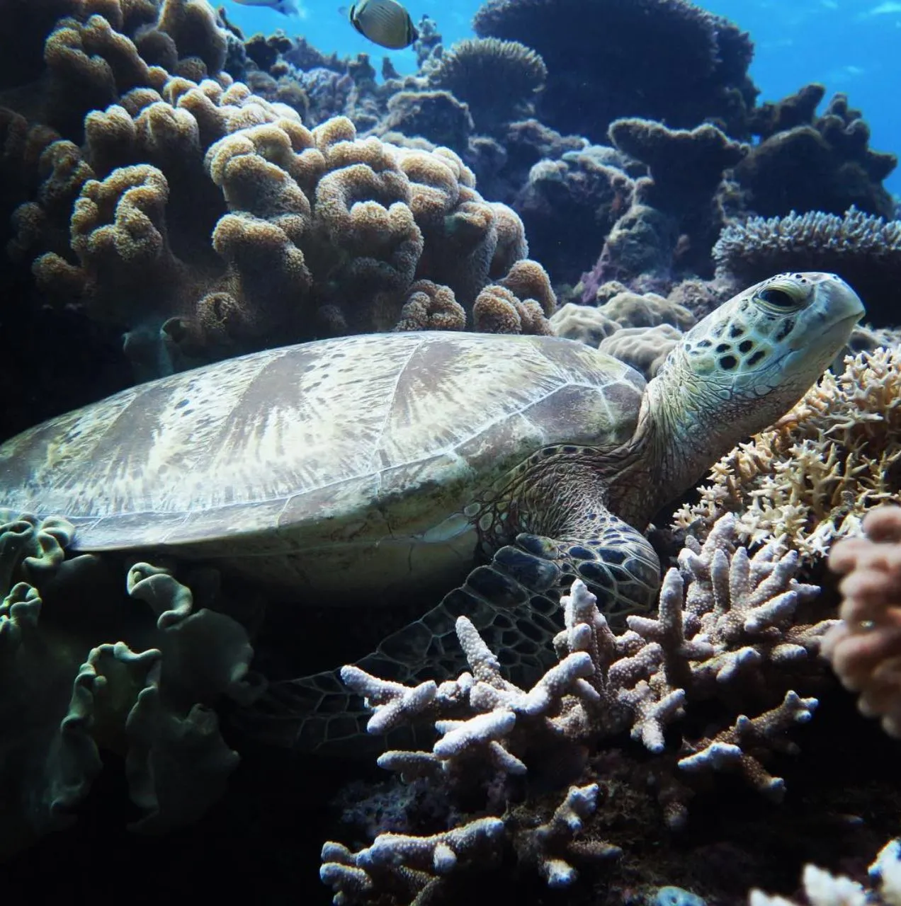 Seasonal Conditions — What Actually Happens Underwater