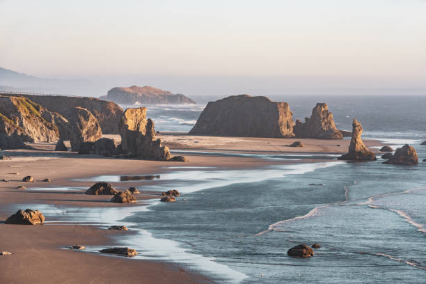Hiking through lush forests and scenic trails on the Oregon Coast